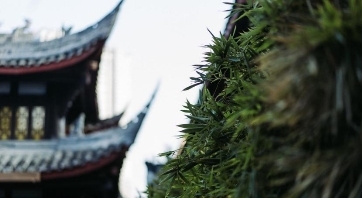我们手持春风，邀您预赏中式理想桃源